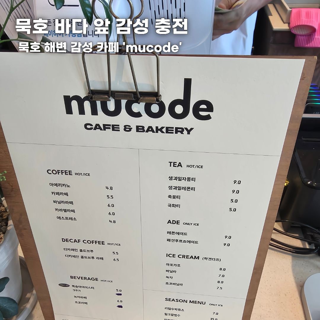 푸른 바다부터 숲속 힐링까지, 가을 떠나기 좋은 강원도 나들이 코스 총정리 (동해·평창·안동)