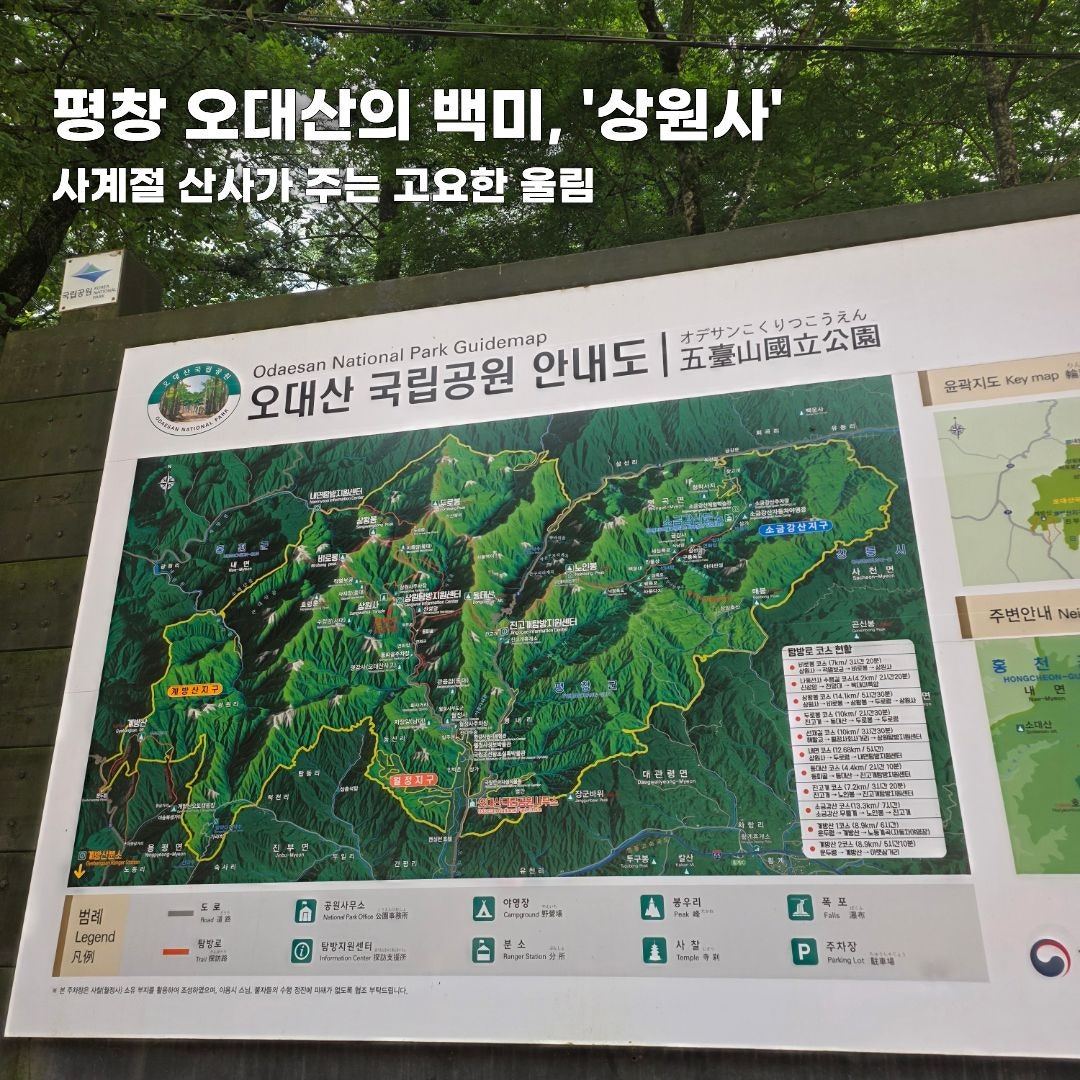 푸른 바다부터 숲속 힐링까지, 가을 떠나기 좋은 강원도 나들이 코스 총정리 (동해·평창·안동)