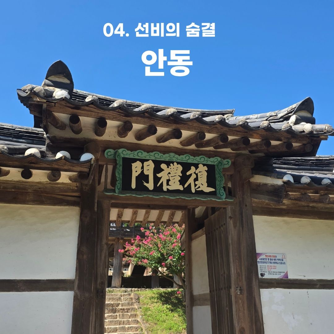 푸른 바다부터 숲속 힐링까지, 가을 떠나기 좋은 강원도 나들이 코스 총정리 (동해·평창·안동)