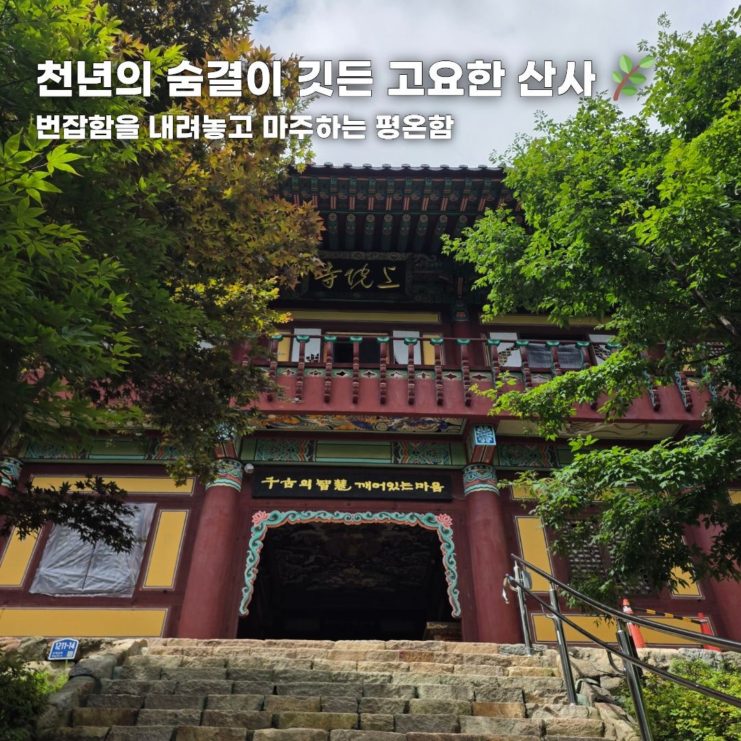 푸른 바다부터 숲속 힐링까지, 가을 떠나기 좋은 강원도 나들이 코스 총정리 (동해·평창·안동)