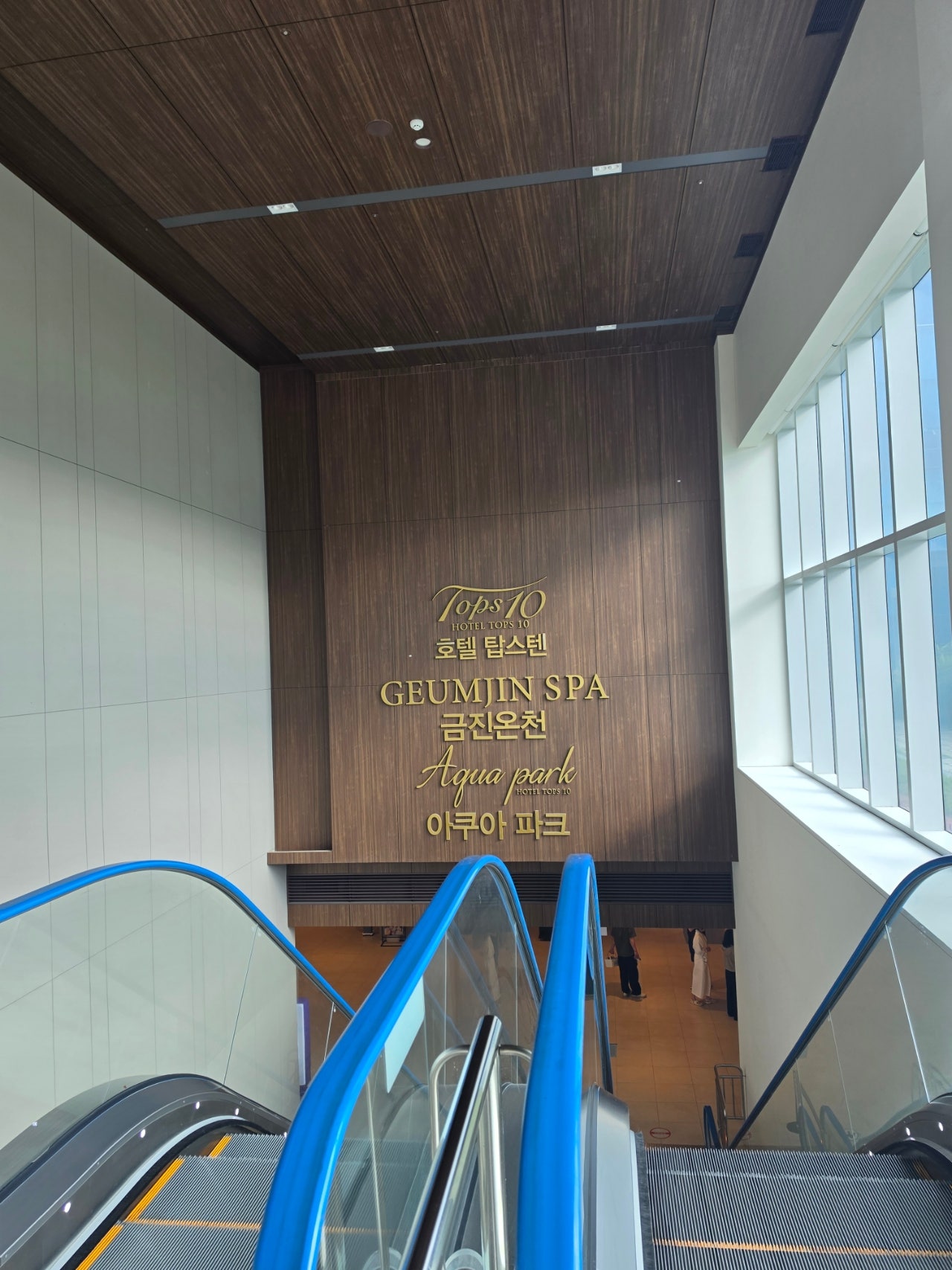 강릉 금진해변 조개잡이하고 탑스텐호텔 금진온천 수영장 해변횟집 모듬회 서울식당 매운탕까지 온가족 마지막여름을 즐기고 왔어요