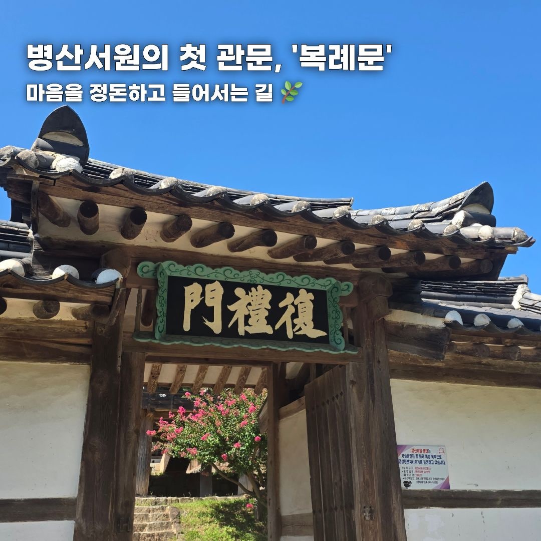 푸른 바다부터 숲속 힐링까지, 가을 떠나기 좋은 강원도 나들이 코스 총정리 (동해·평창·안동)