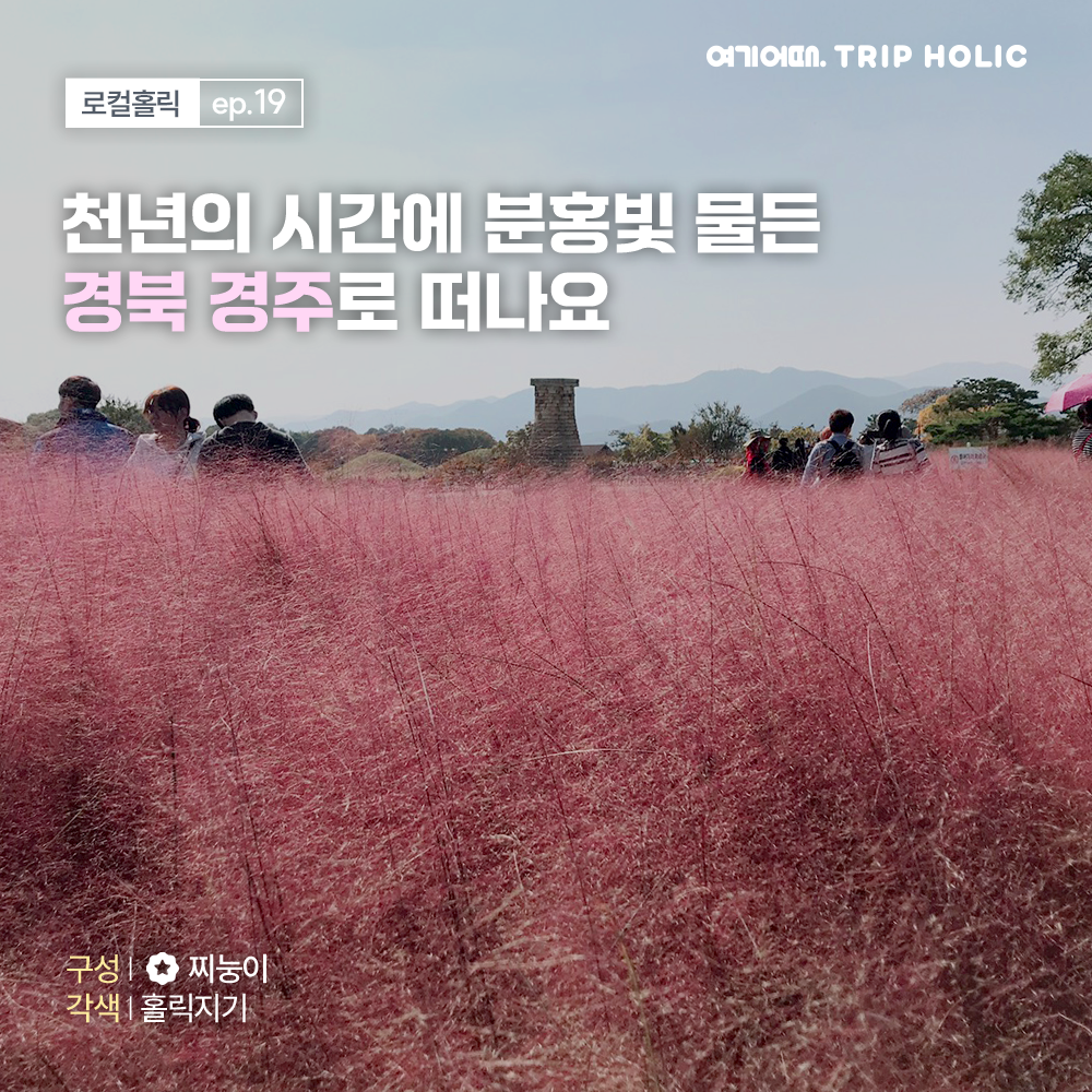 이게 진짜 경주다! 찐 현지인이 알려주는 경주 100% 즐기기🎁 첨성대 핑크뮬리 & 찐맛집 코스, 로컬홀릭 ep.19