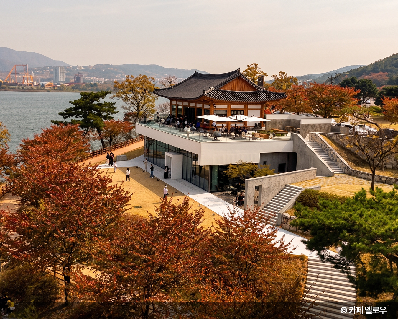 이게 진짜 경주다! 찐 현지인이 알려주는 경주 100% 즐기기🎁 첨성대 핑크뮬리 & 찐맛집 코스, 로컬홀릭 ep.19
