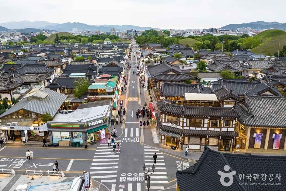 이게 진짜 경주다! 찐 현지인이 알려주는 경주 100% 즐기기🎁 첨성대 핑크뮬리 & 찐맛집 코스, 로컬홀릭 ep.19