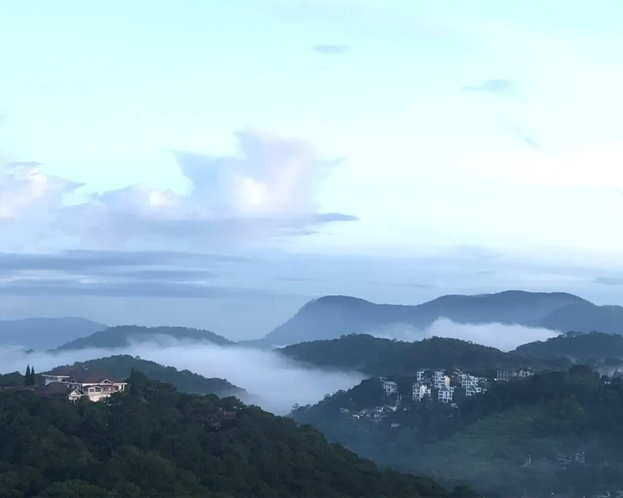 기본 이미지