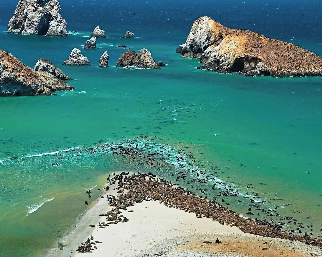해변