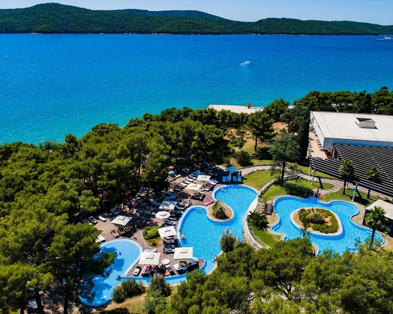 기본 이미지