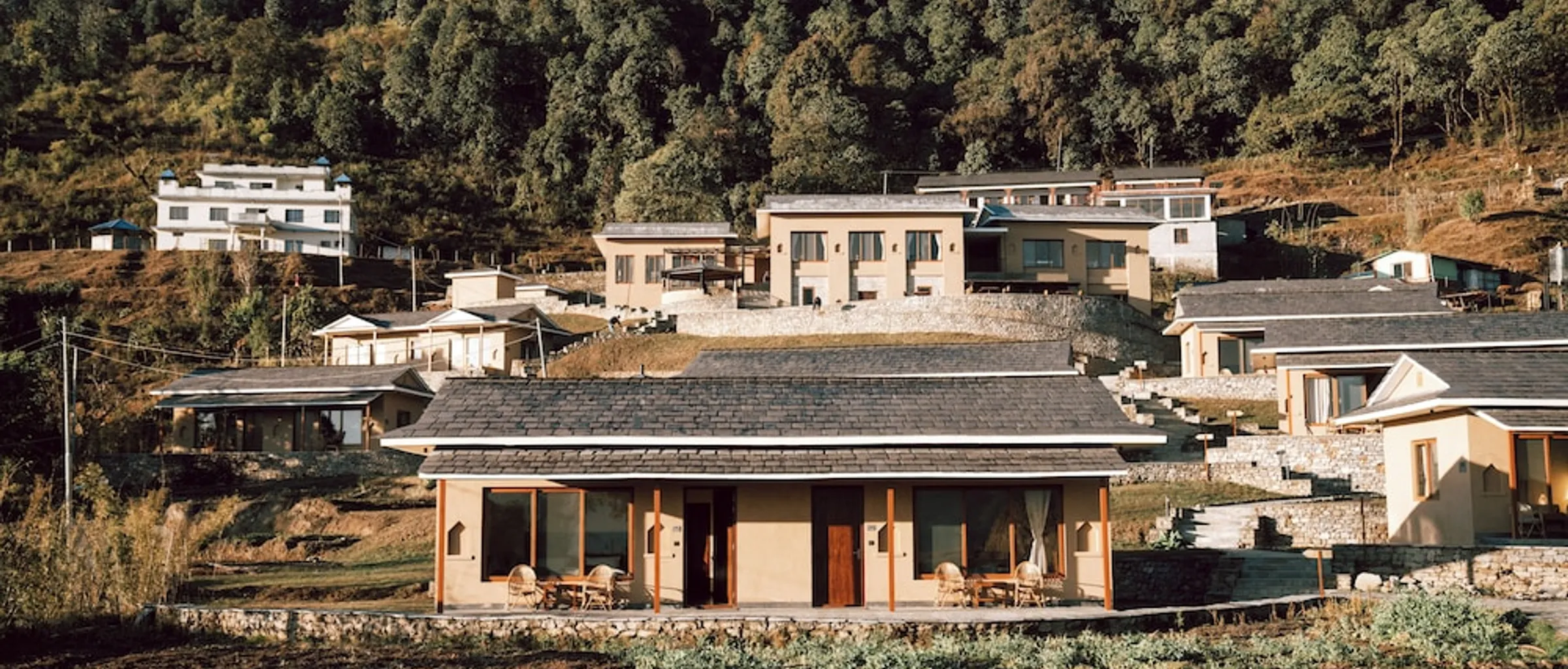 기본 이미지