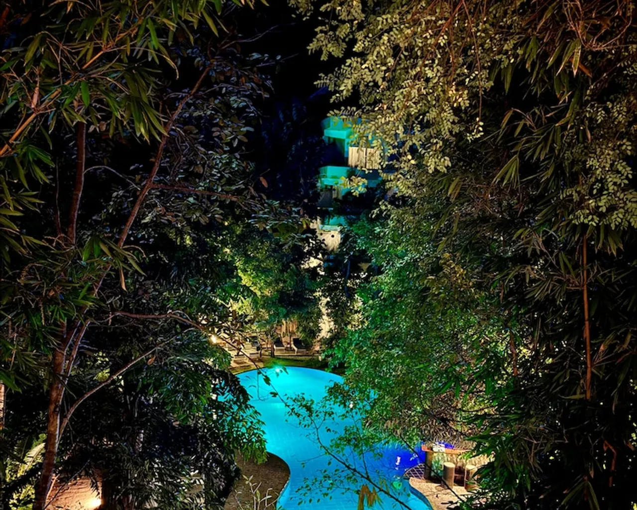 기본 이미지