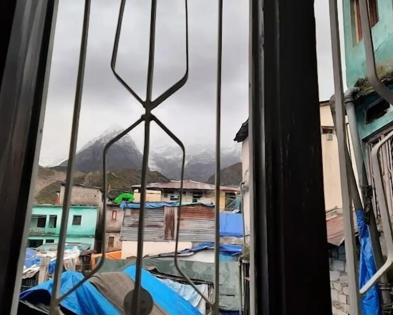 기본 이미지