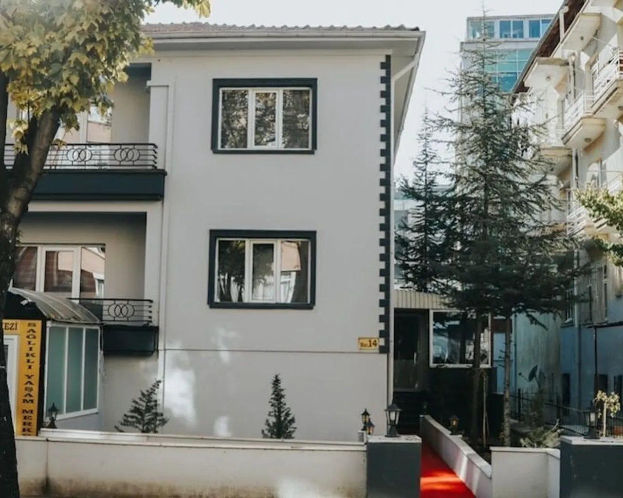 기본 이미지