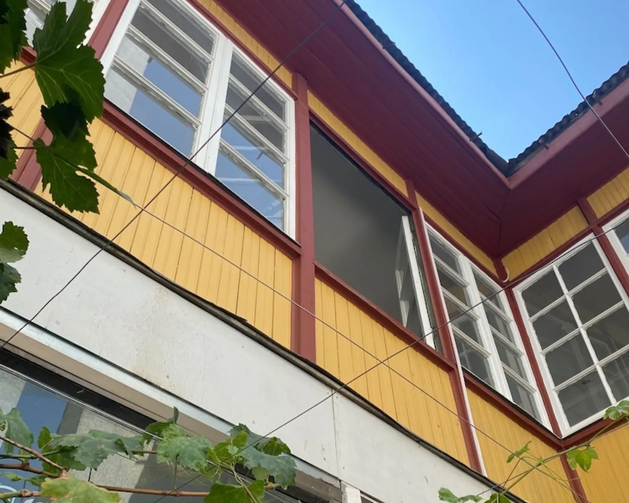 기본 이미지