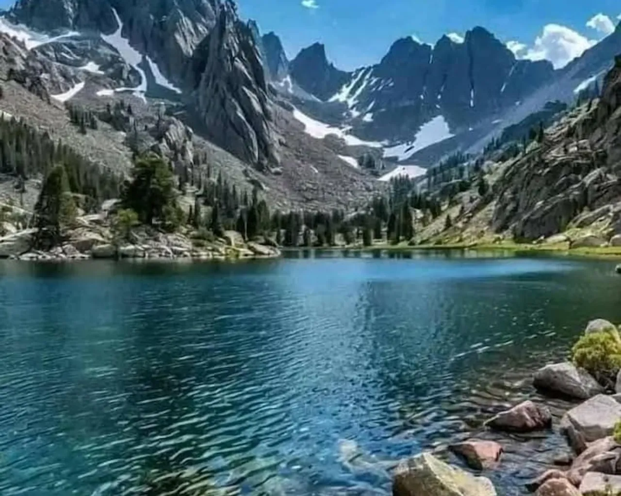 접수