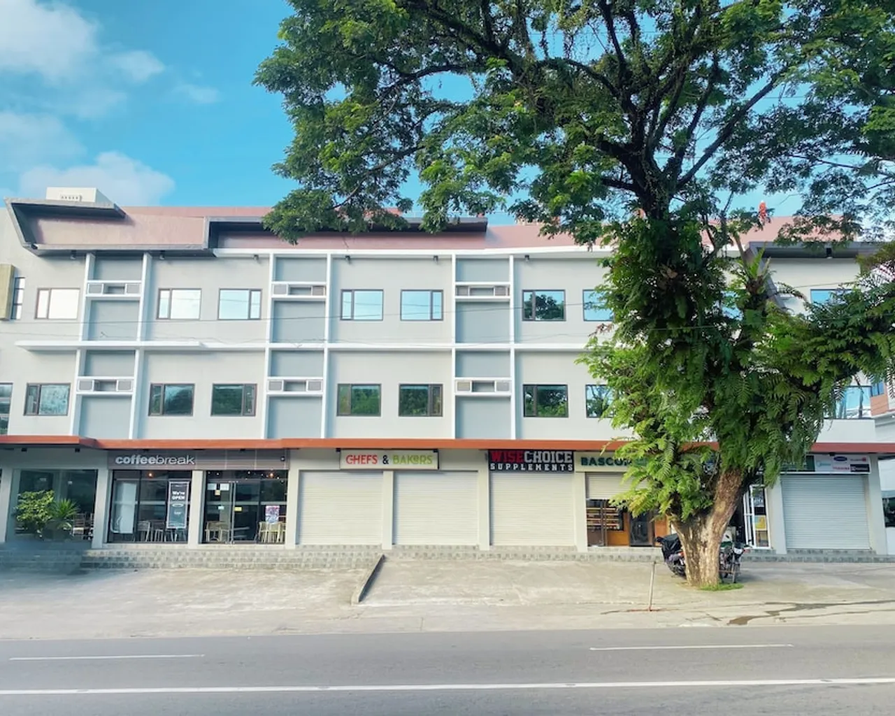 기본 이미지