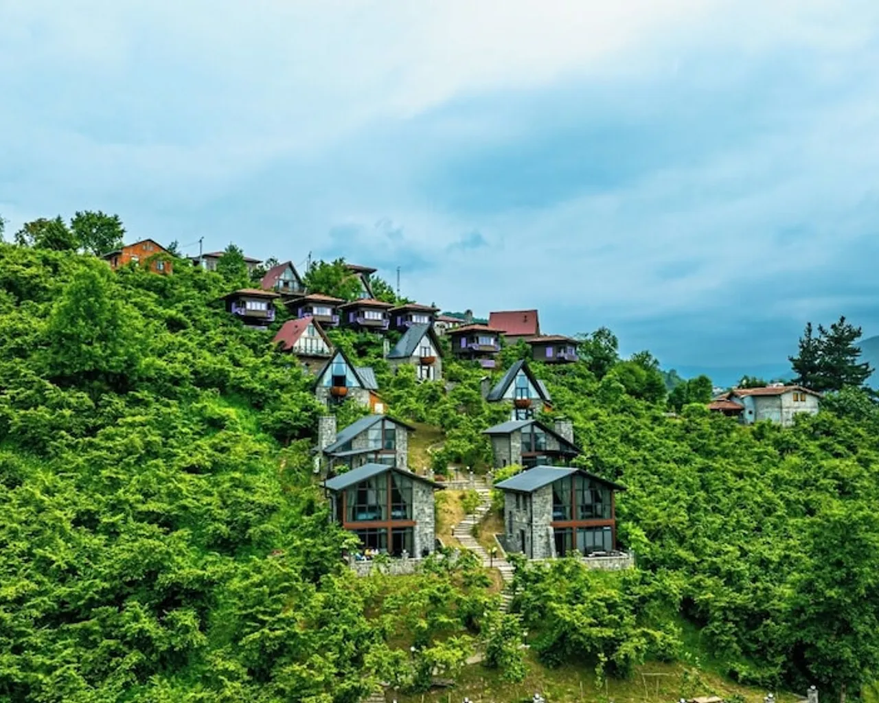 기본 이미지