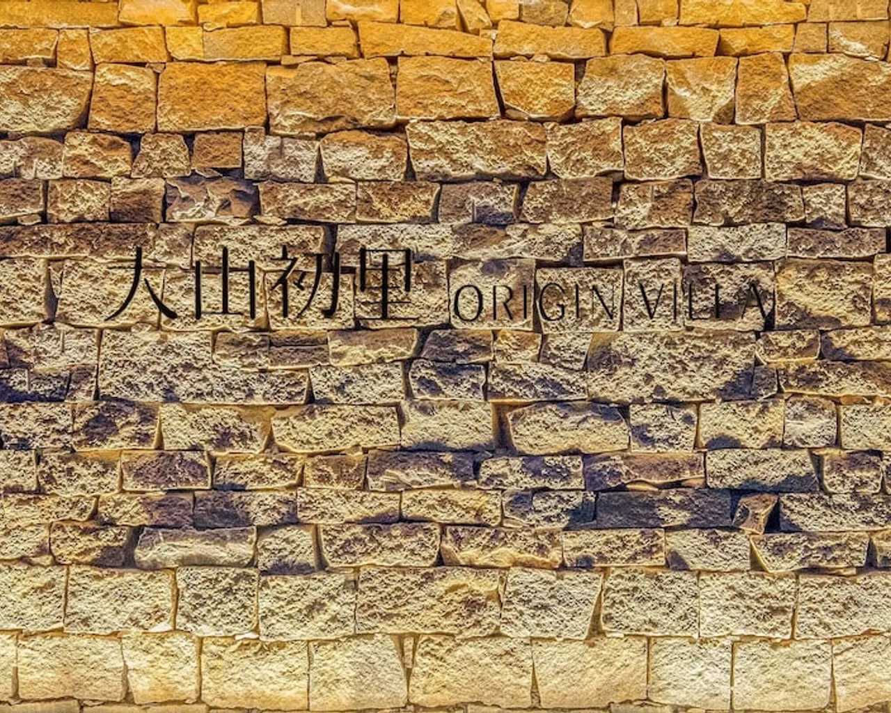 기본 이미지