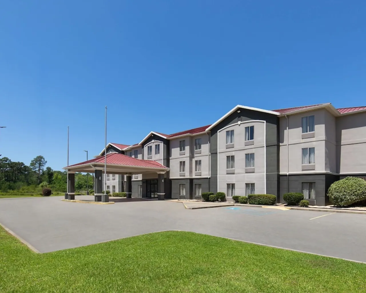 기본 이미지