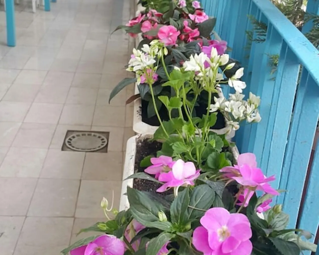 기본 이미지