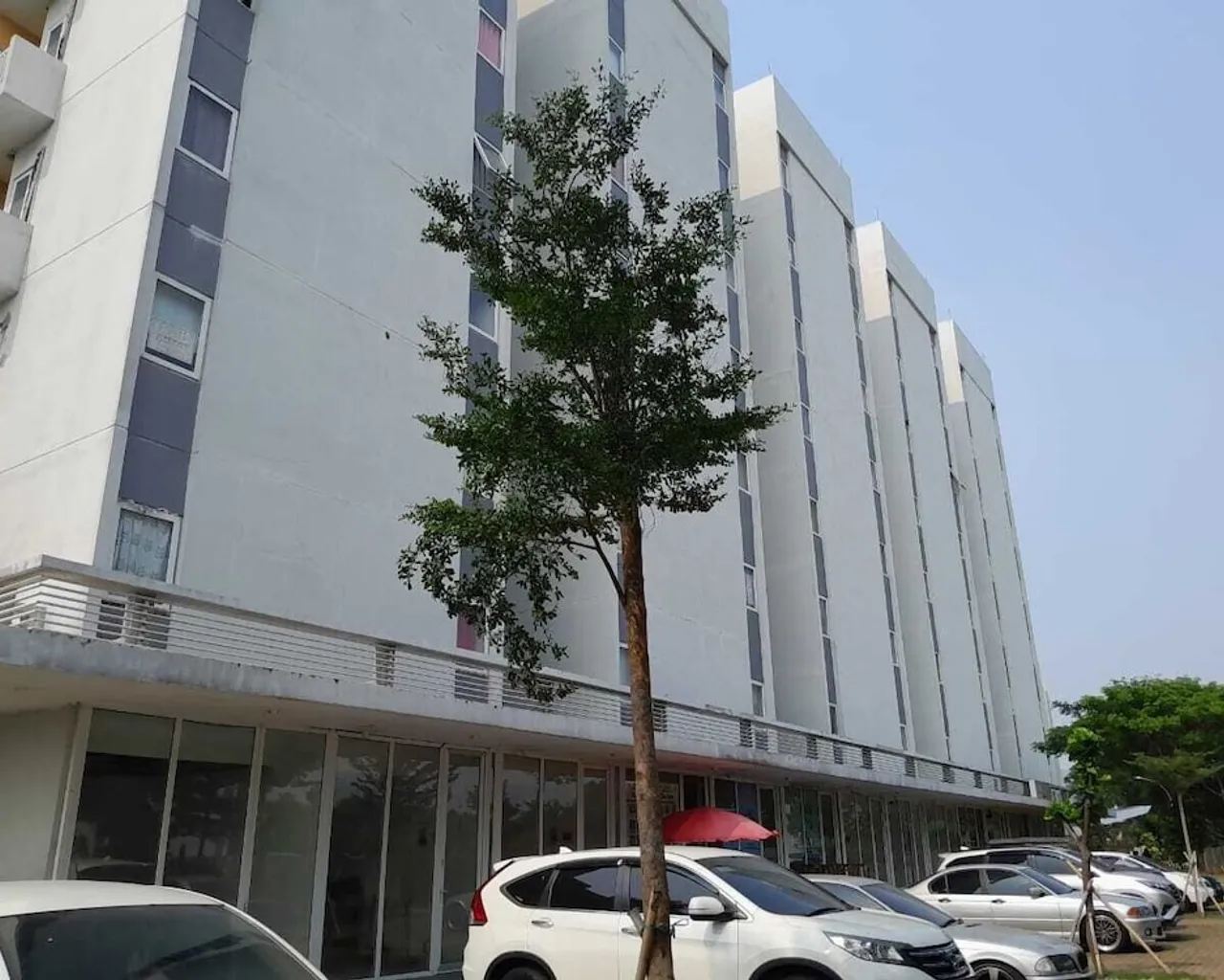 기본 이미지