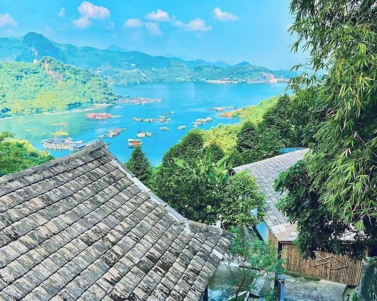 기본 이미지