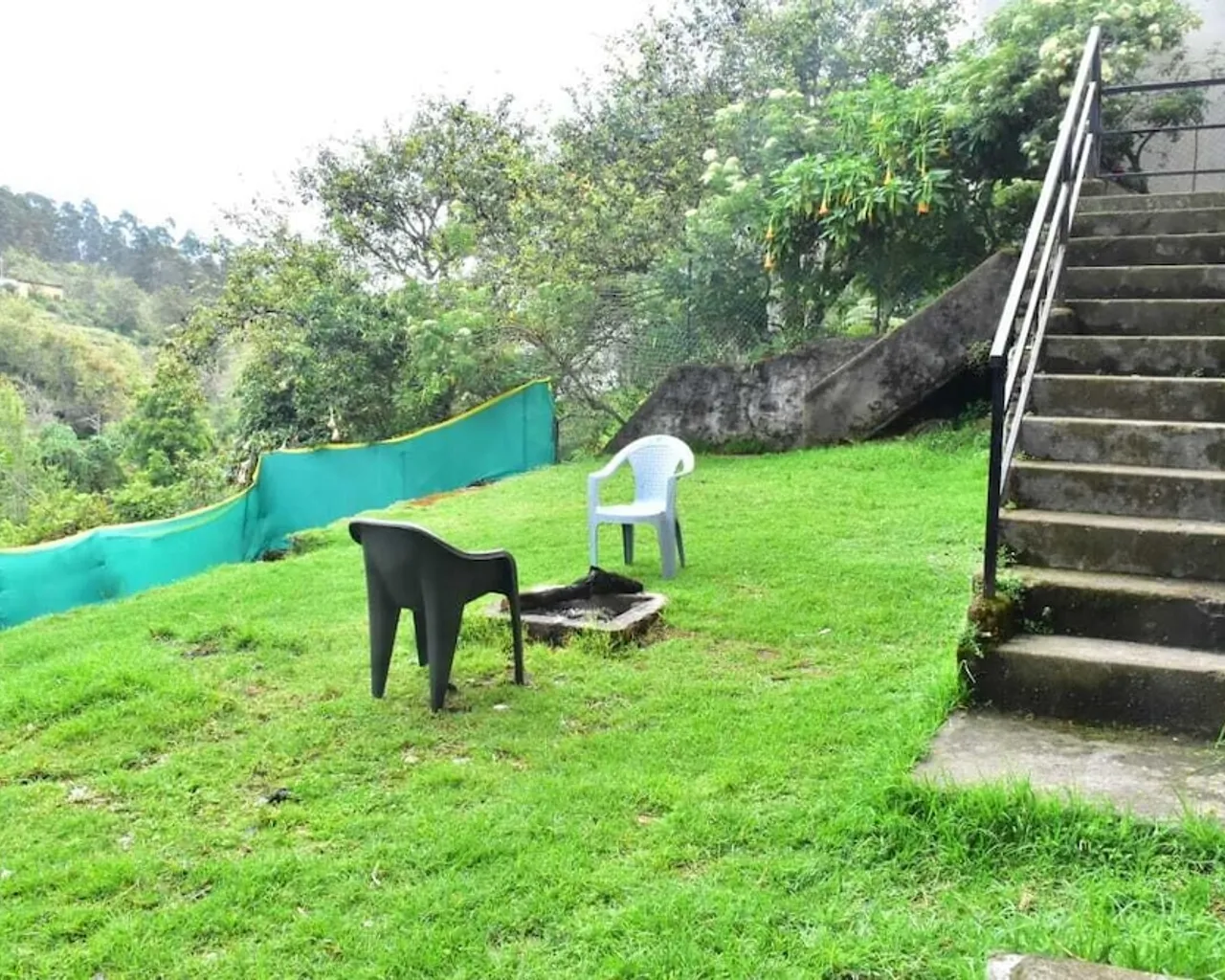 기본 이미지