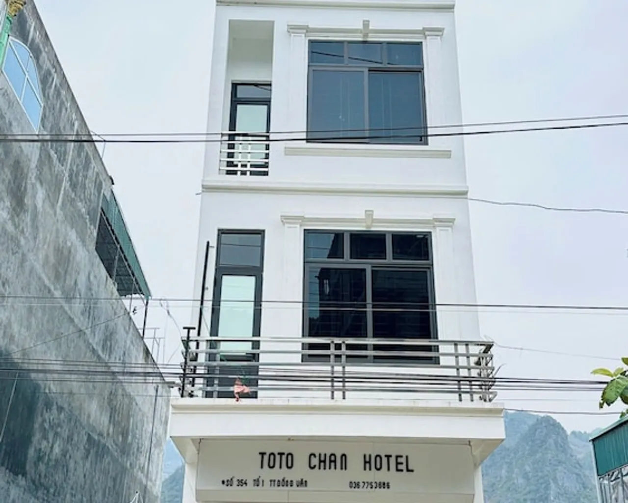 기본 이미지