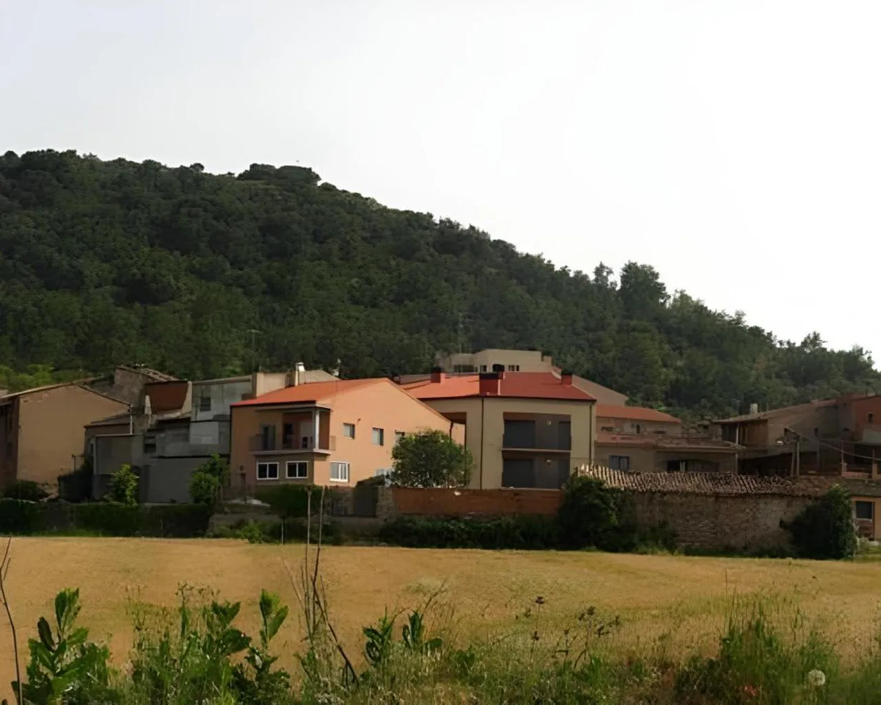 주변 환경