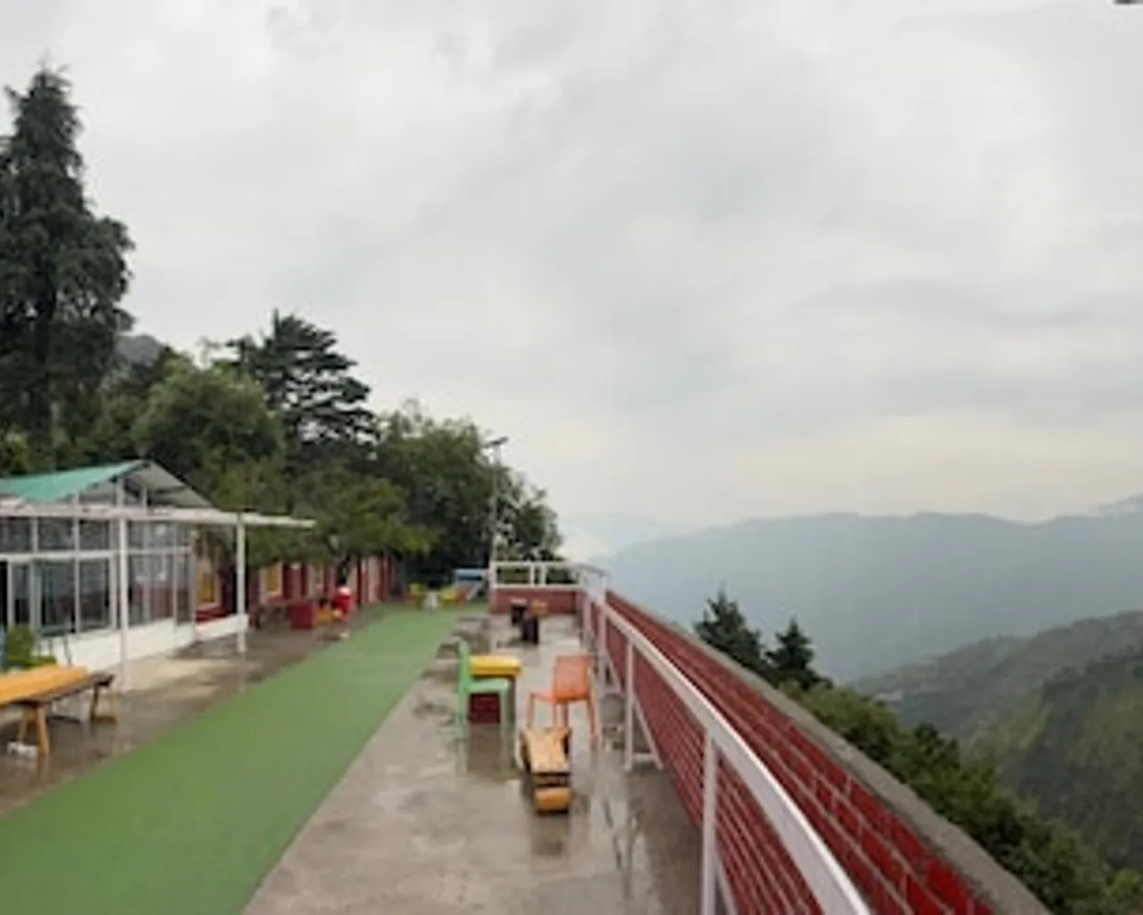 기본 이미지