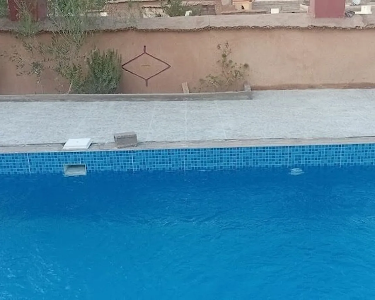 기본 이미지