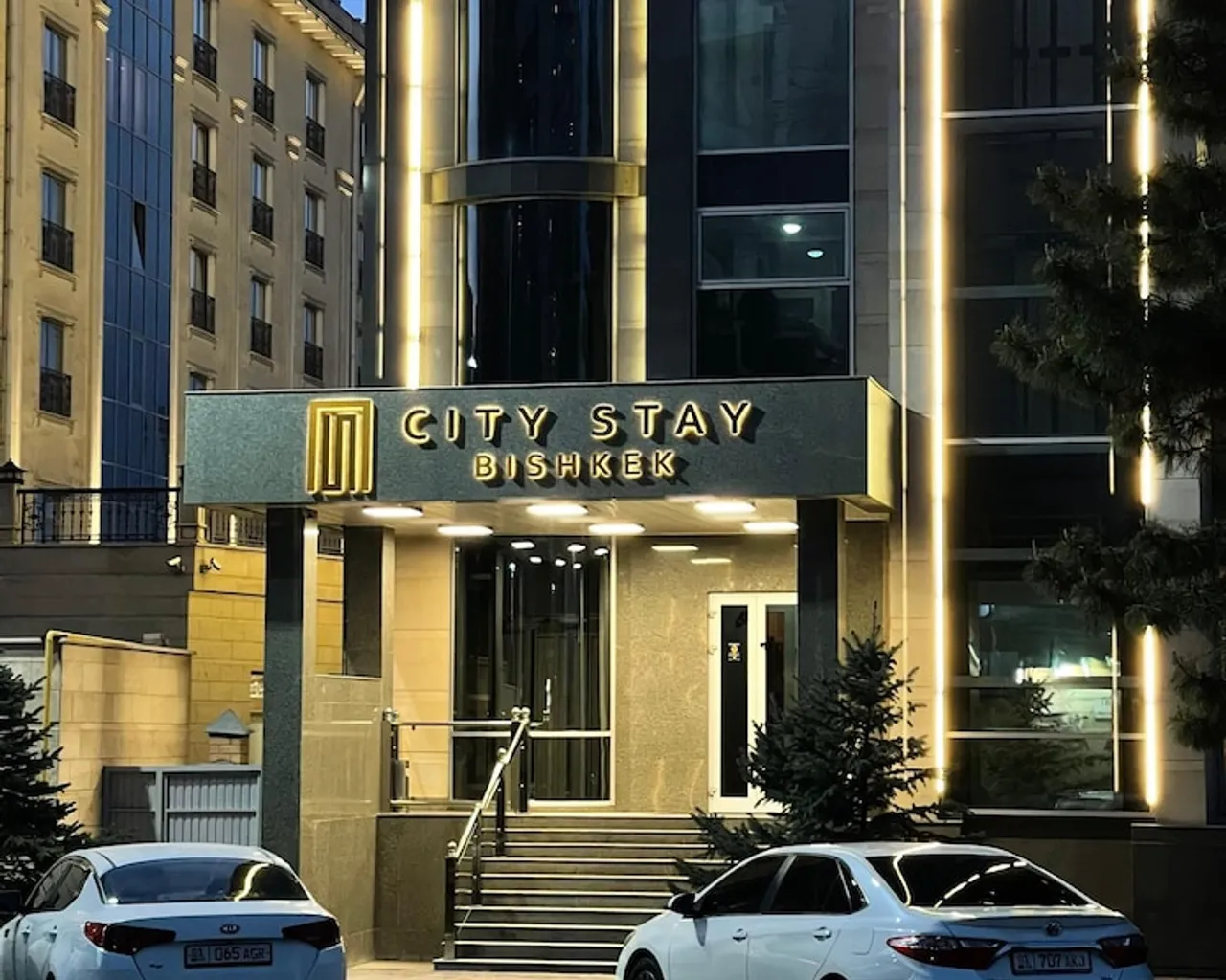 기본 이미지