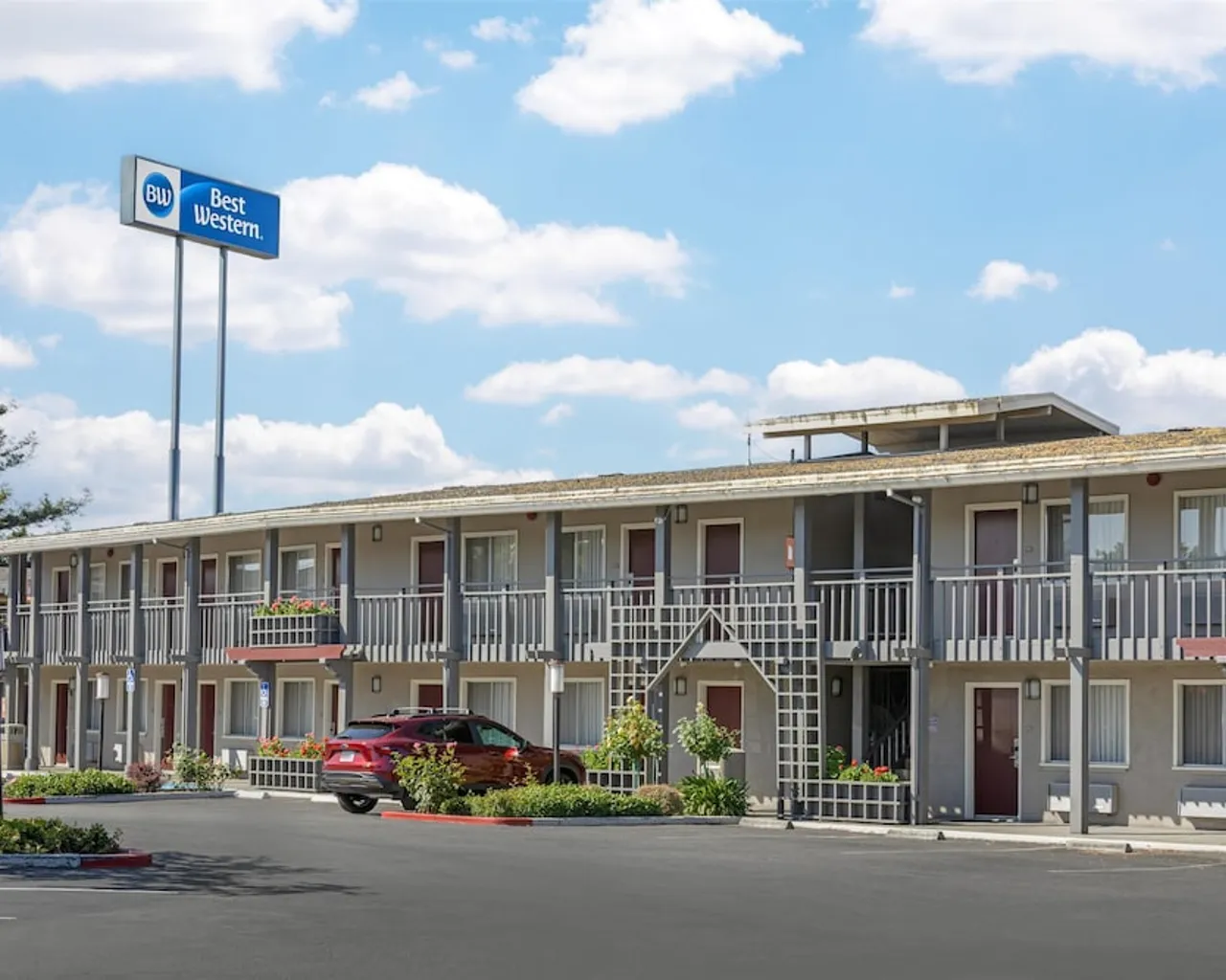 기본 이미지