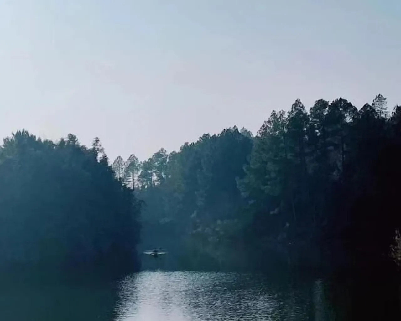 기본 이미지