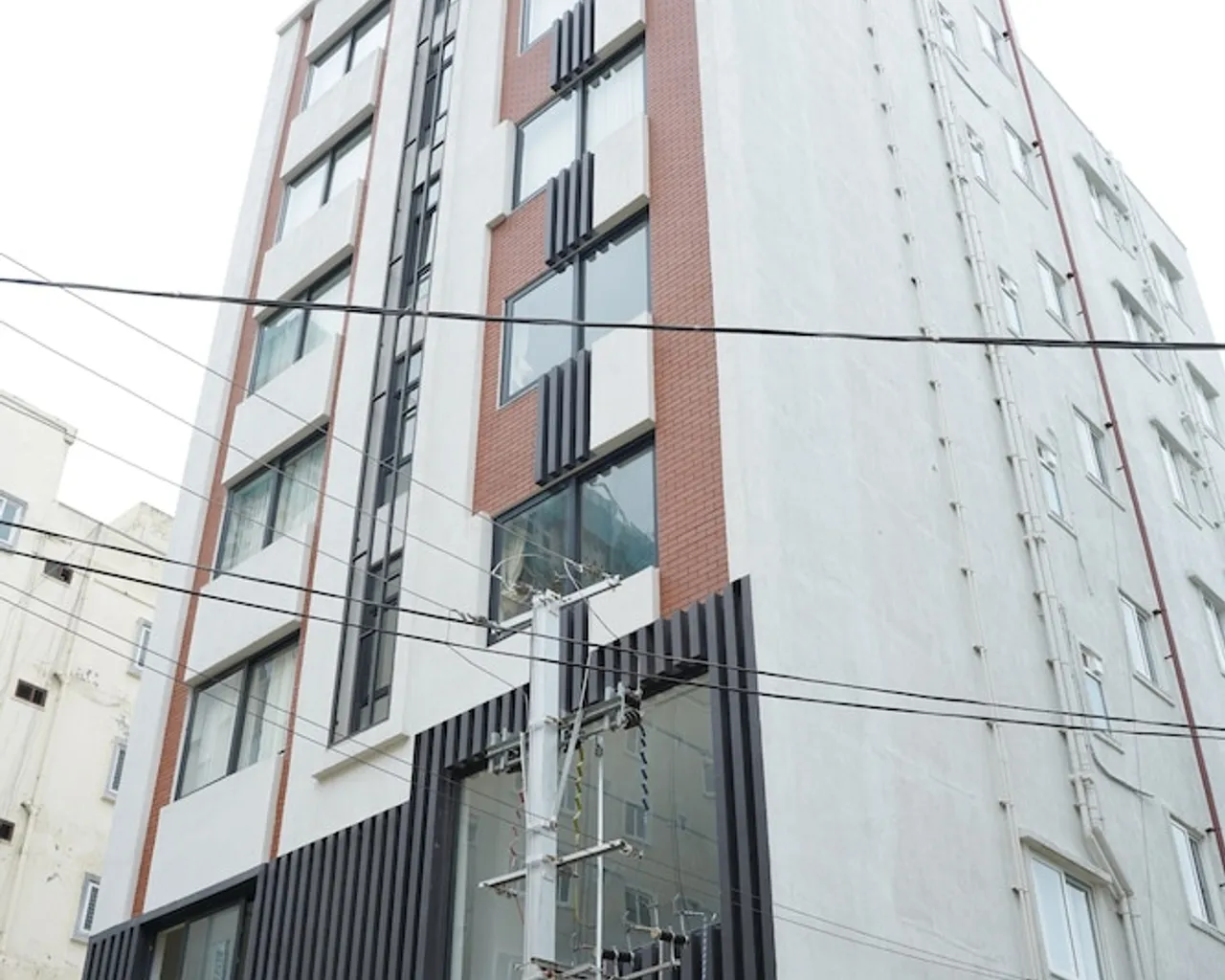 기본 이미지