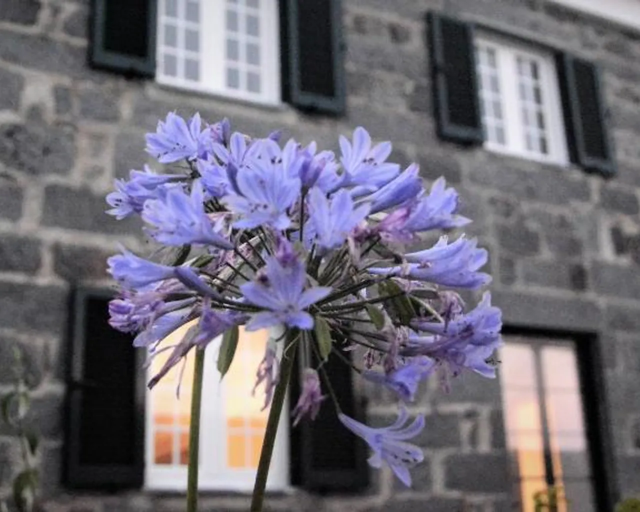 숙소 외관