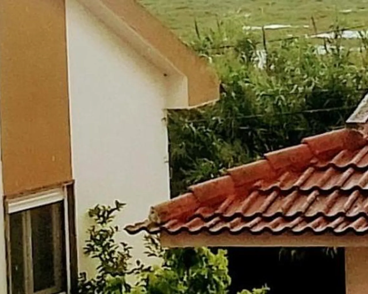 전망