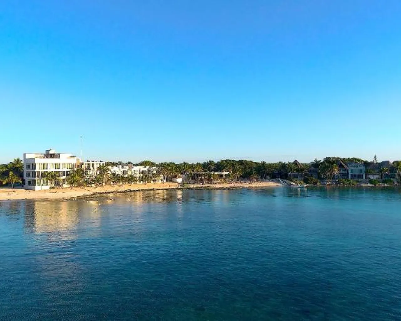 주변 환경