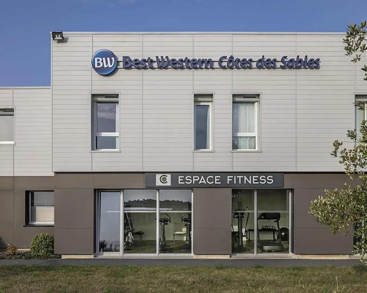 기본 이미지