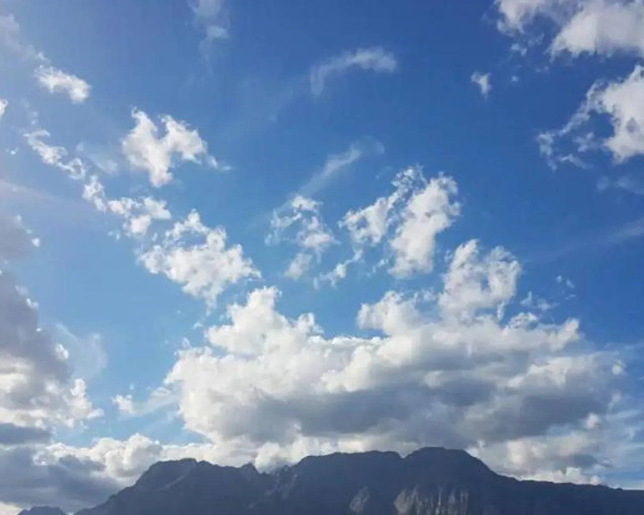 전망