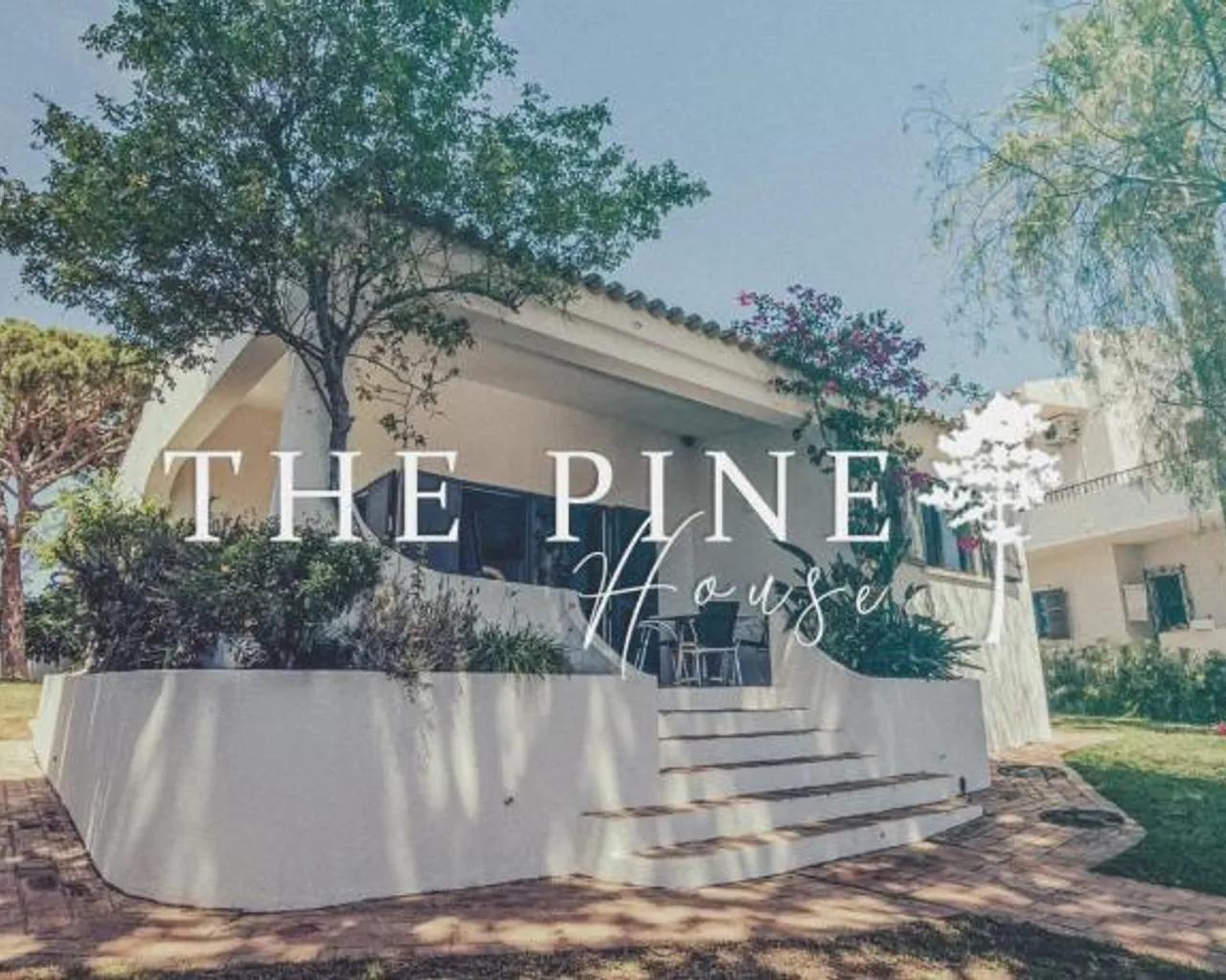 전망