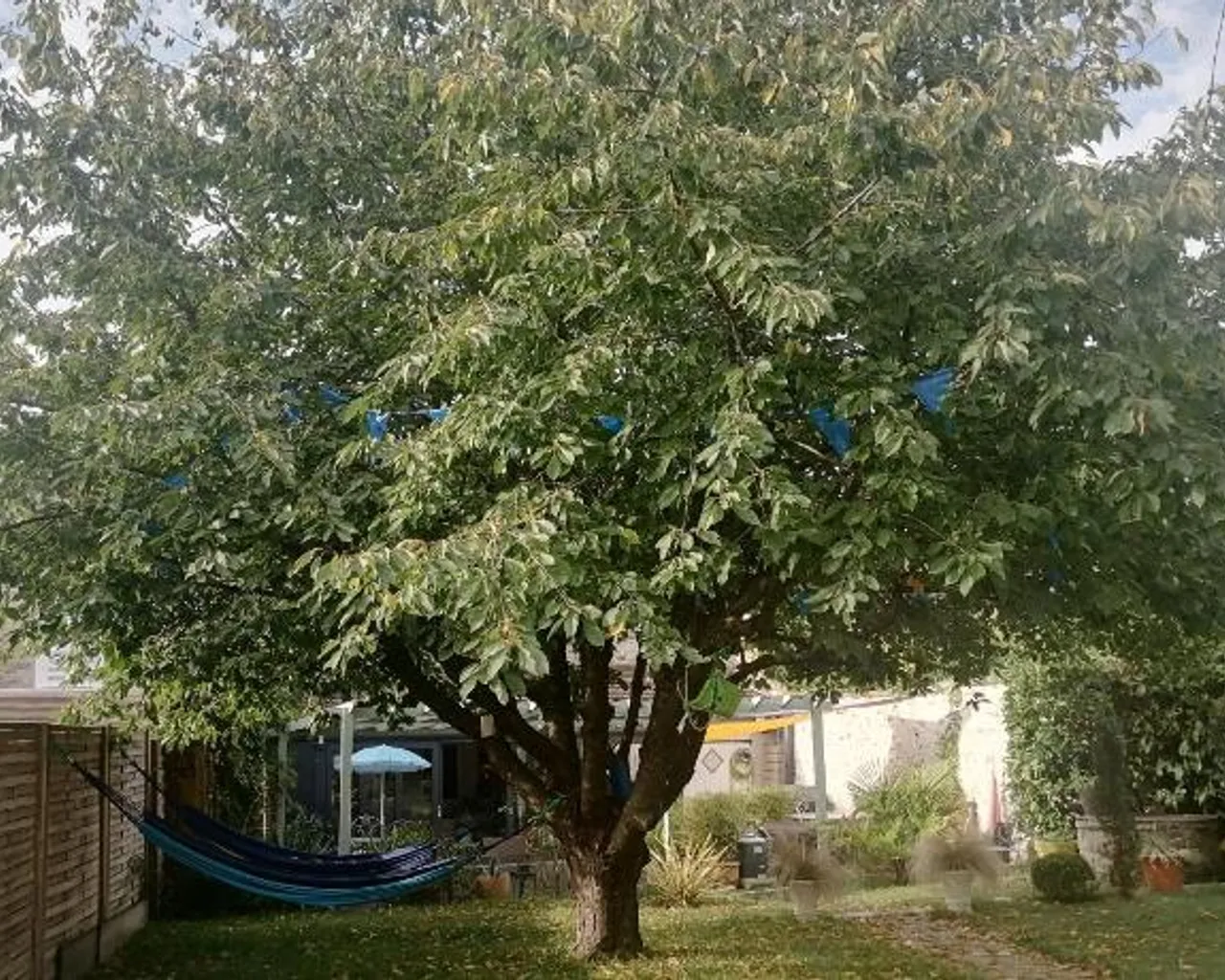 전망