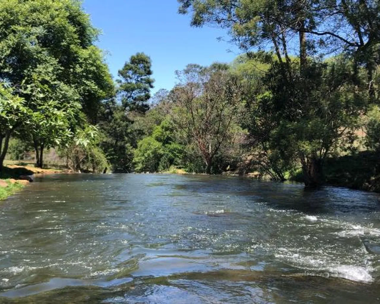 전망