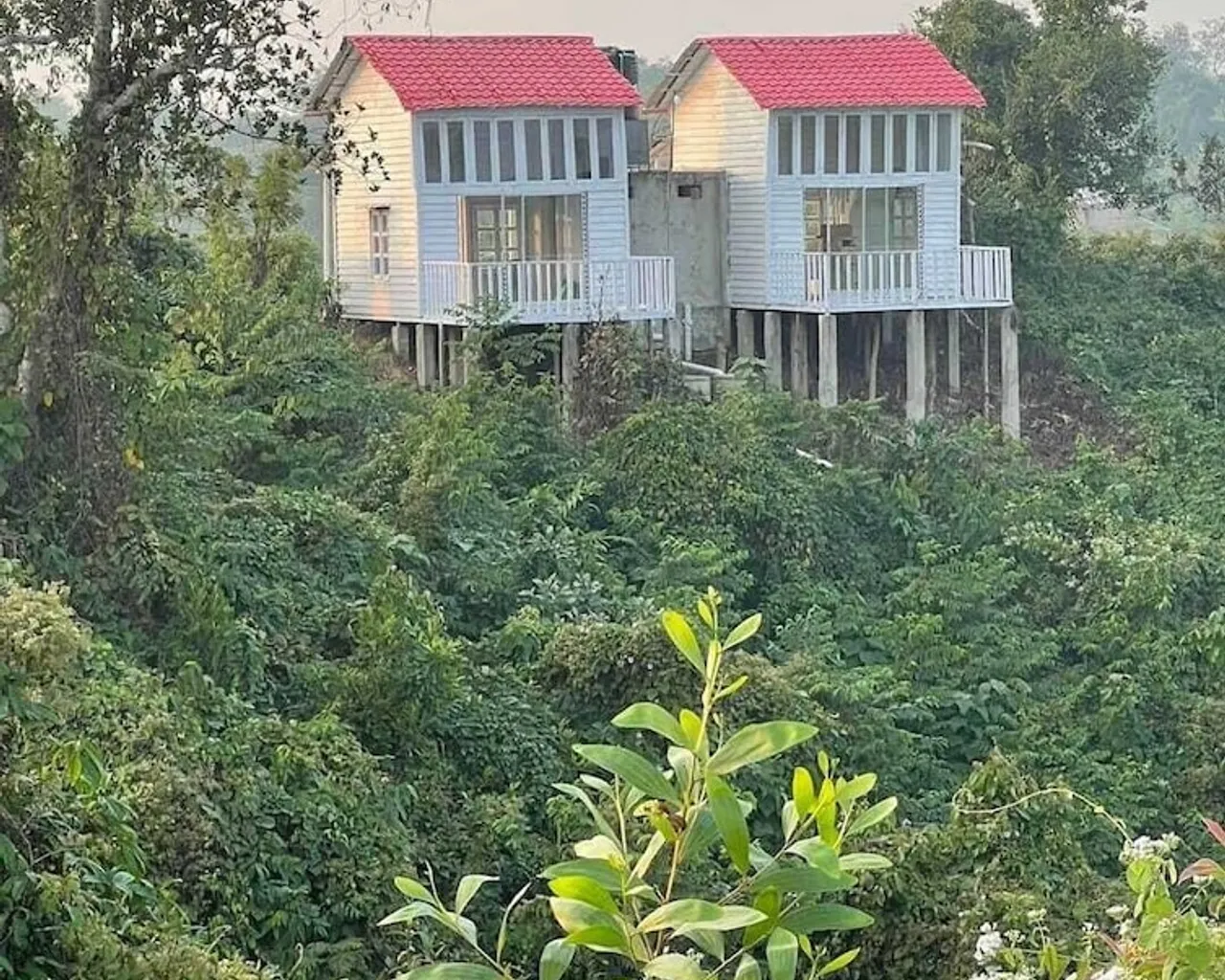 기본 이미지