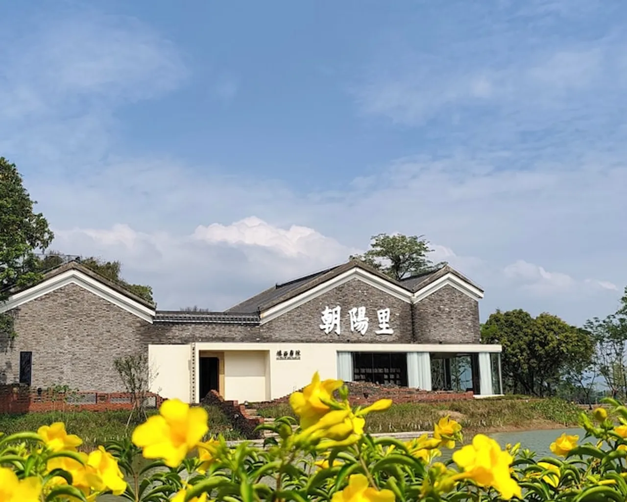 기본 이미지