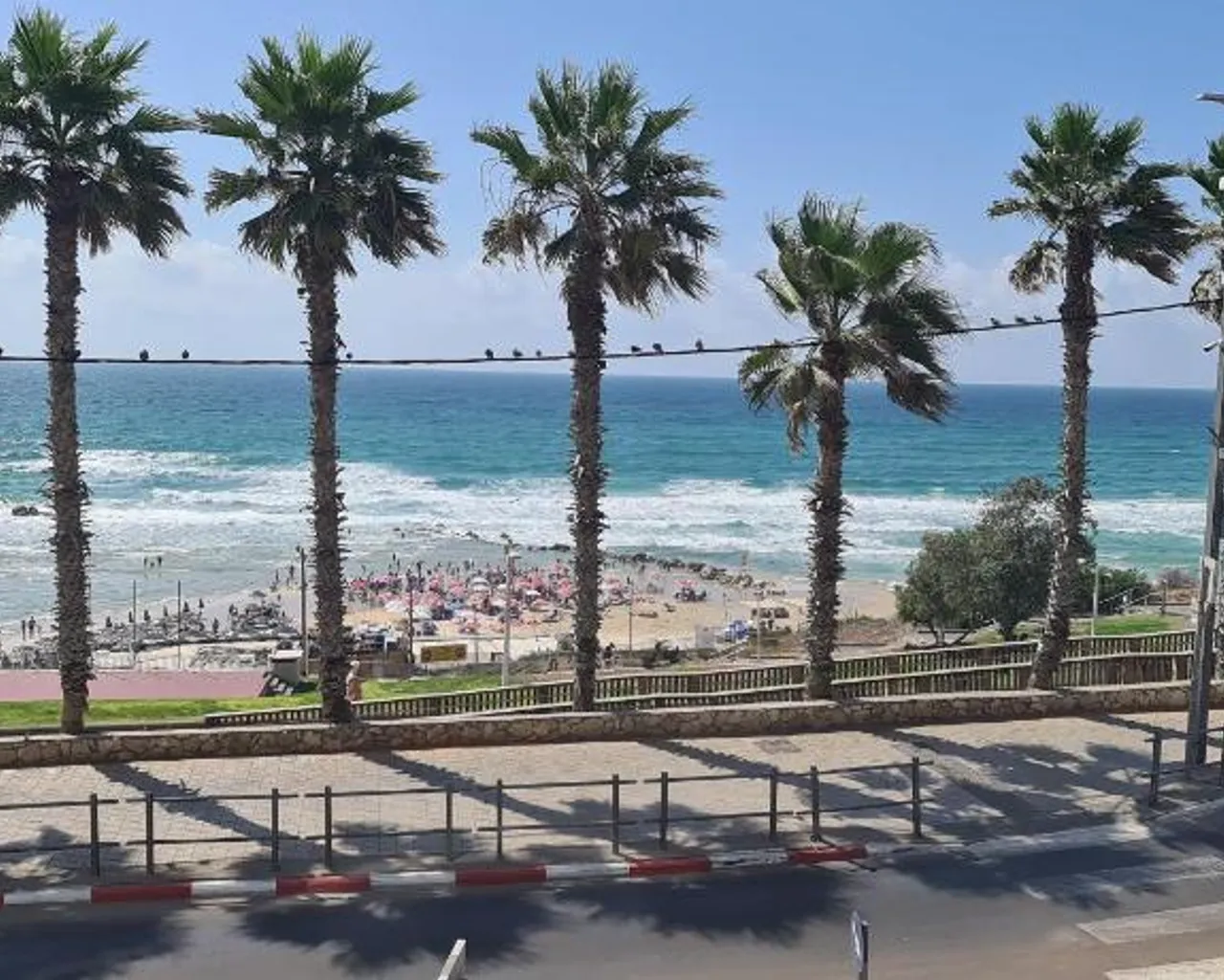 주변 환경