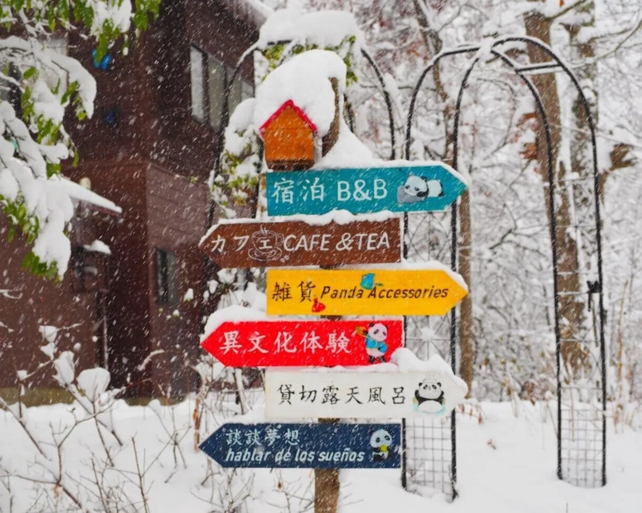 기본 이미지