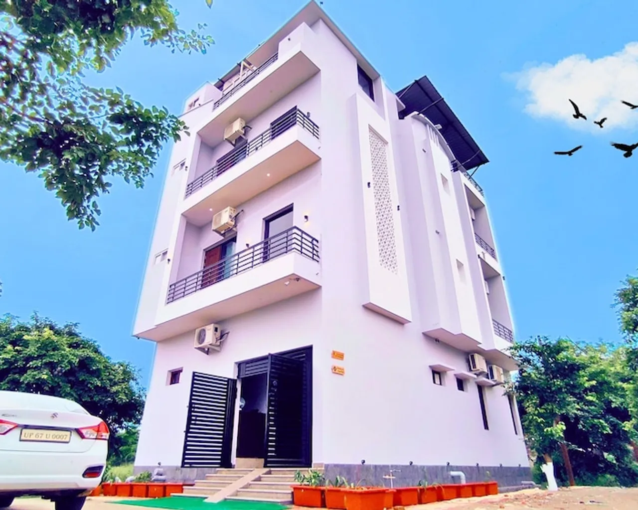 기본 이미지