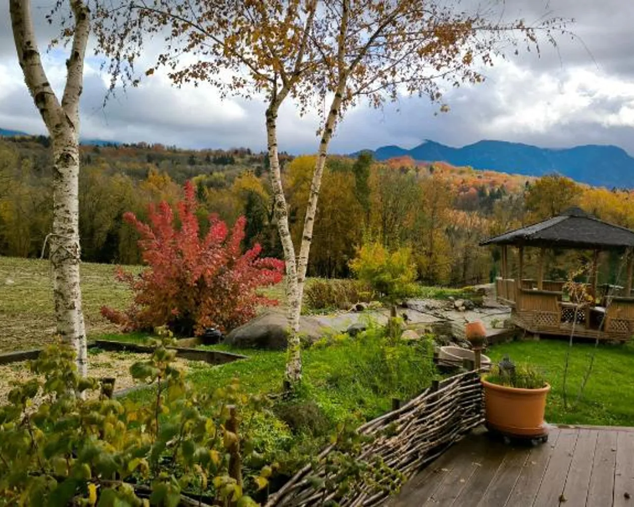 주변 환경
