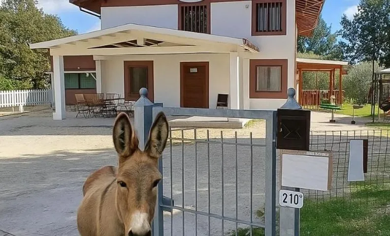 LE CERQUE