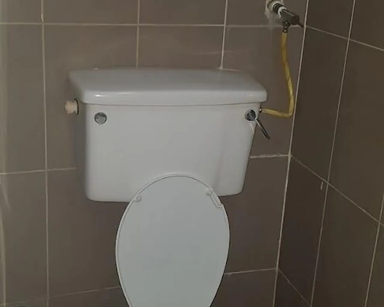기본 이미지